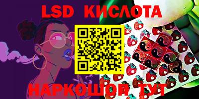 бошки Владимир