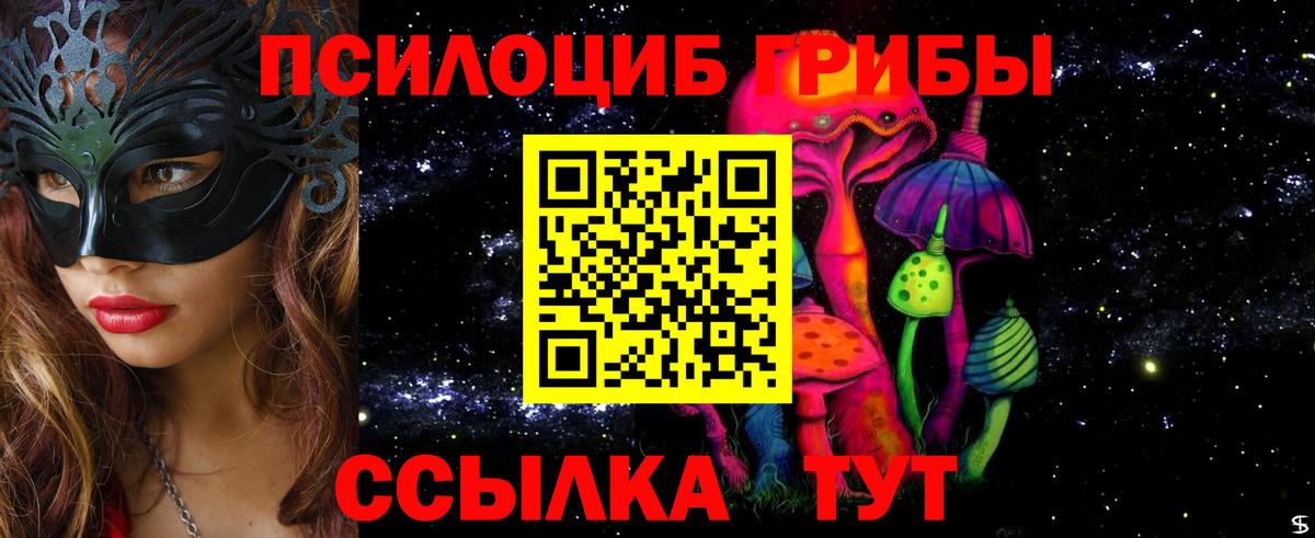 Мыски  Псилоцибиновые грибы прущие грибы  Вход с VPN 